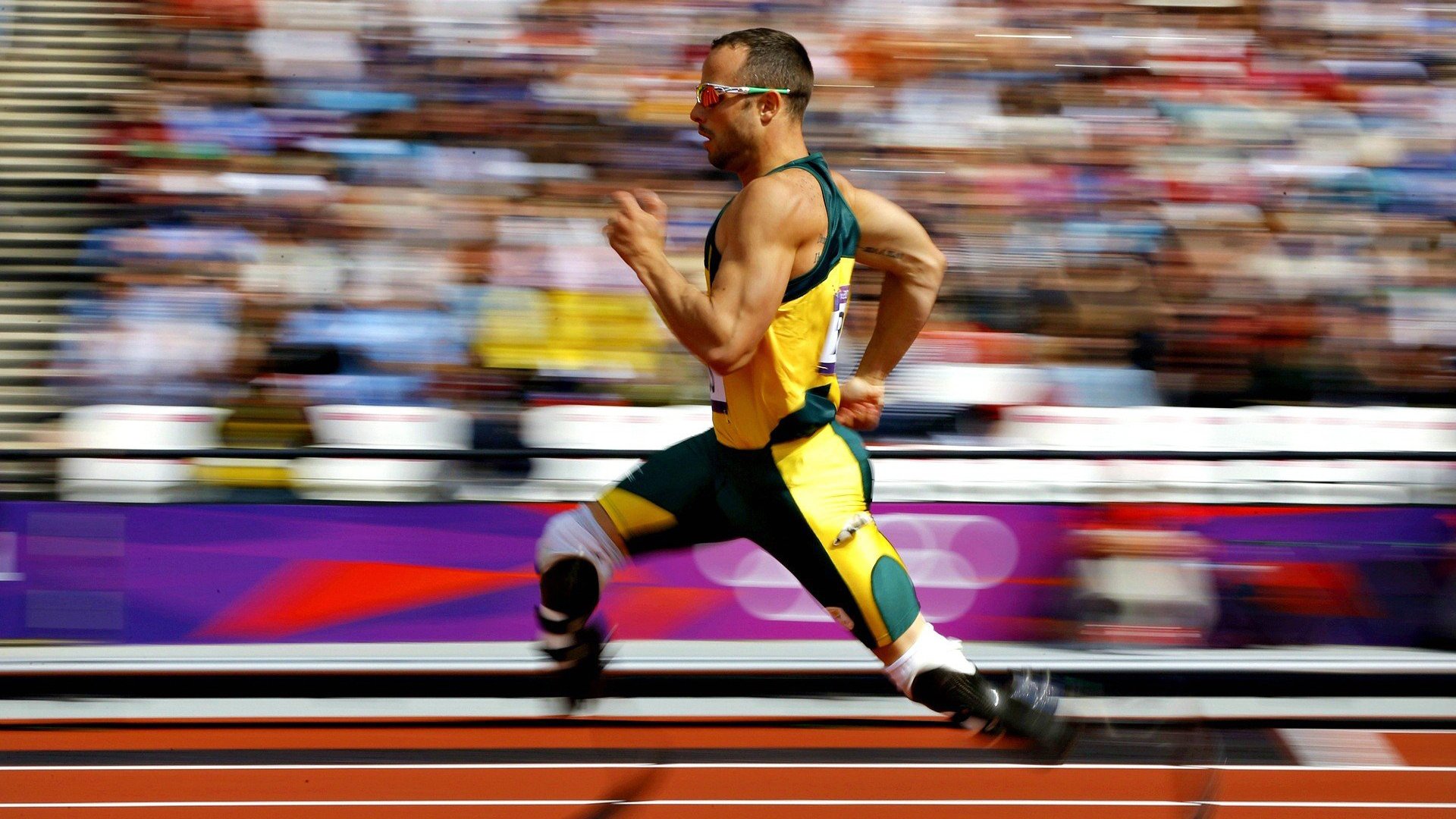 篮网球馆设“静音观赛区”，为高敏感观众提供安静环境，篮网球馆能容纳多少人